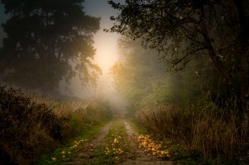 stefan-widua-kOuaZs7jDZE-unsplash