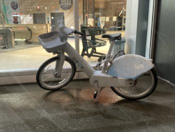 DIvvy Bike, Ray Pride, February 15, 2023