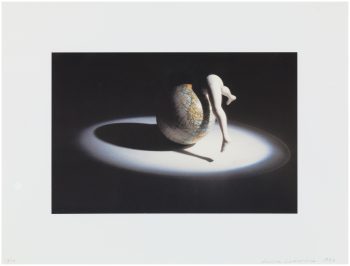 Laurie Simmons, Lying Objects,