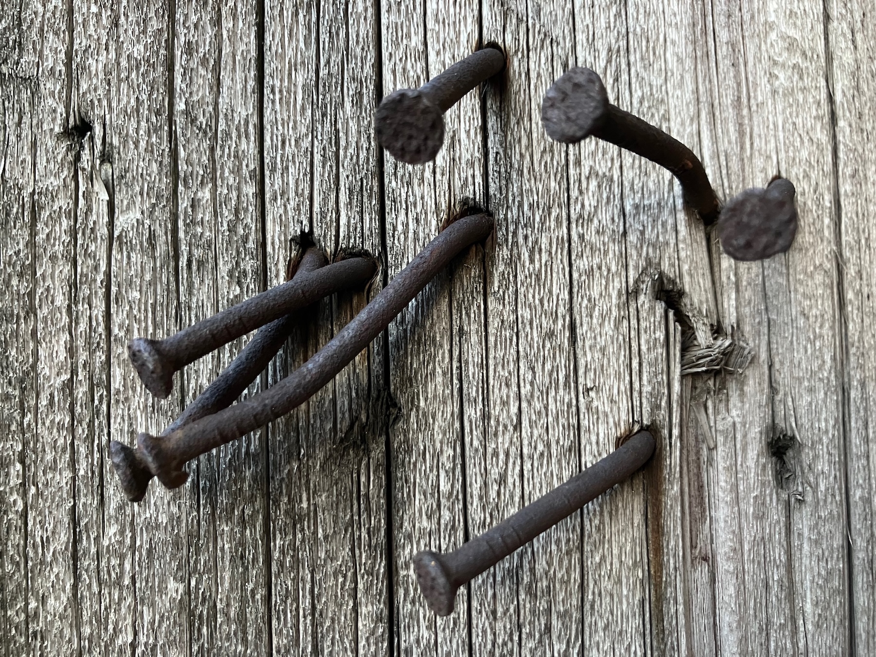 Today In Culture, Monday, November 3, 2025: Empty Bottle’s 33 1/3 | State’s Major Transit Plan | Jeanne Gang’s Treehouse