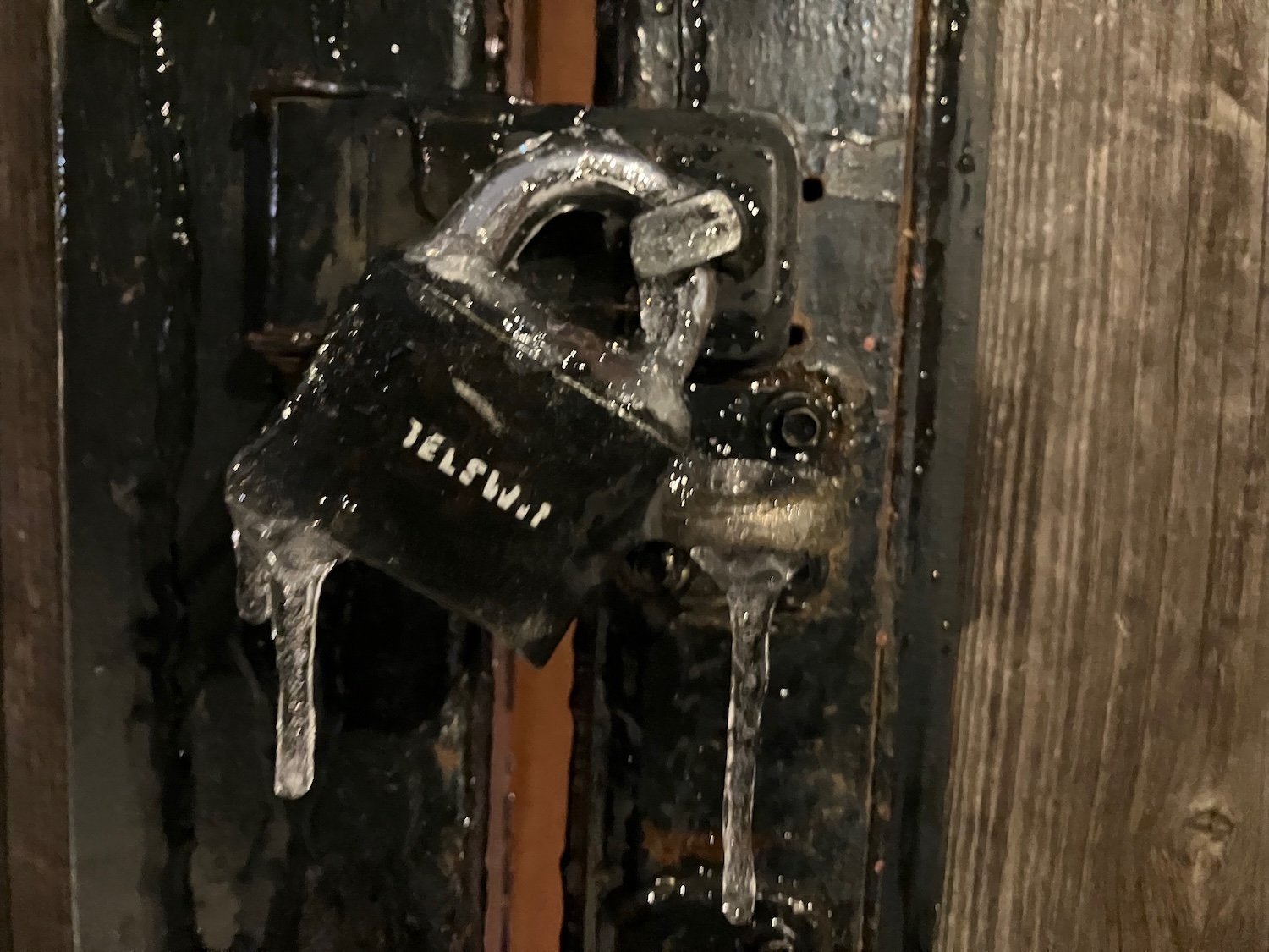 Today In Culture, Friday, December 5, 2025: Lillstreet’s Fiftieth Party | A “Paradise” For Sober Drinking | New Public Art At Steelworkers Park