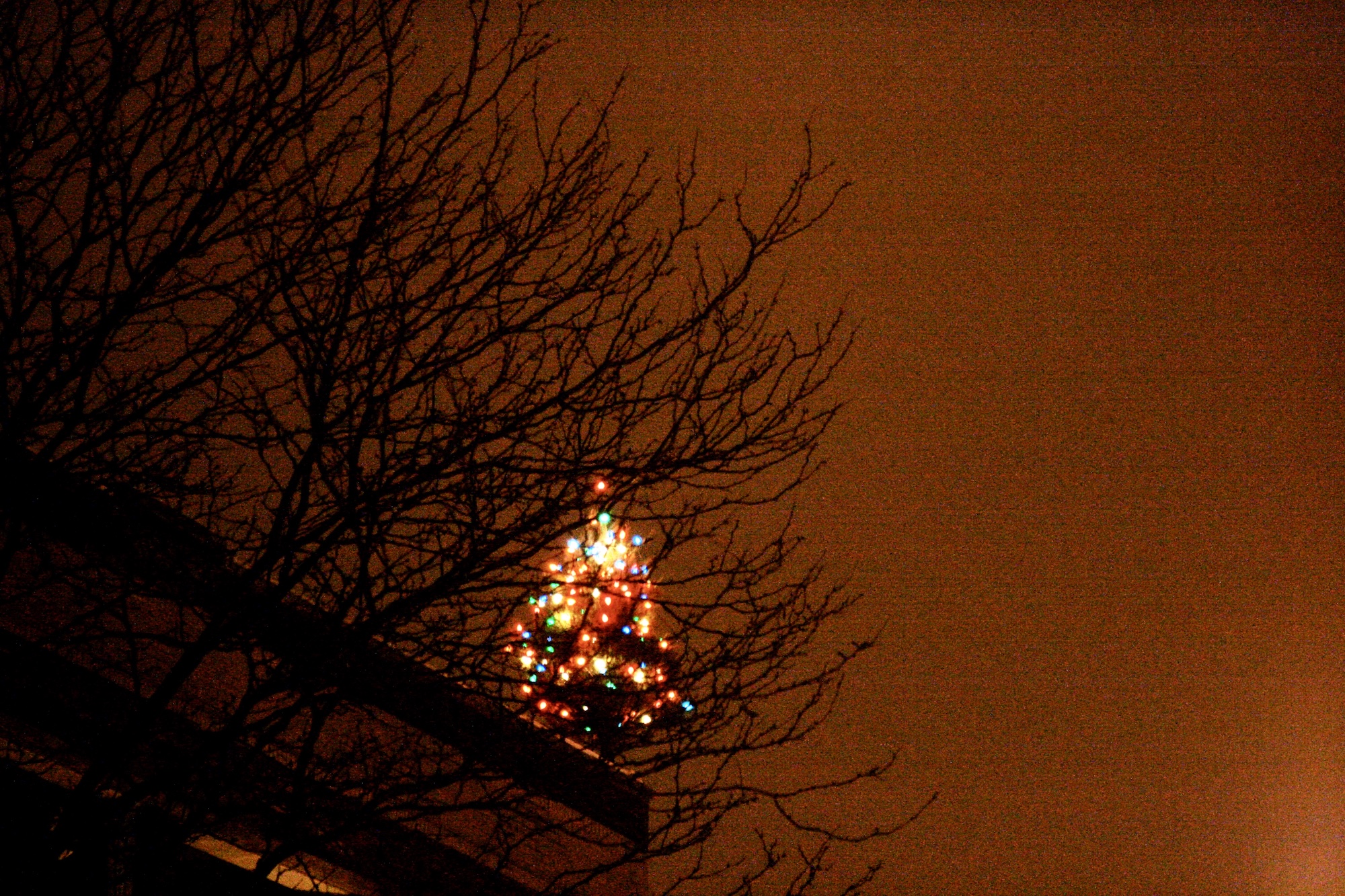 Today In Culture, Monday, December 15, 2025: The Newberry Awards Jonathan Franzen | Steep Theatre’s New Home | Stanley Tigerman’s Arby’s