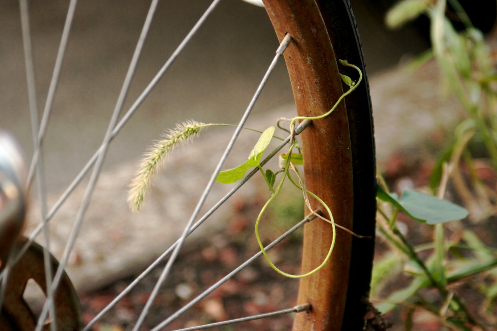 Today In Culture, Friday, February 27, 2026: DePaul Art Museum Closing | Klaus Mäkelä at the Art Institute | Joffrey’s Disco Gala