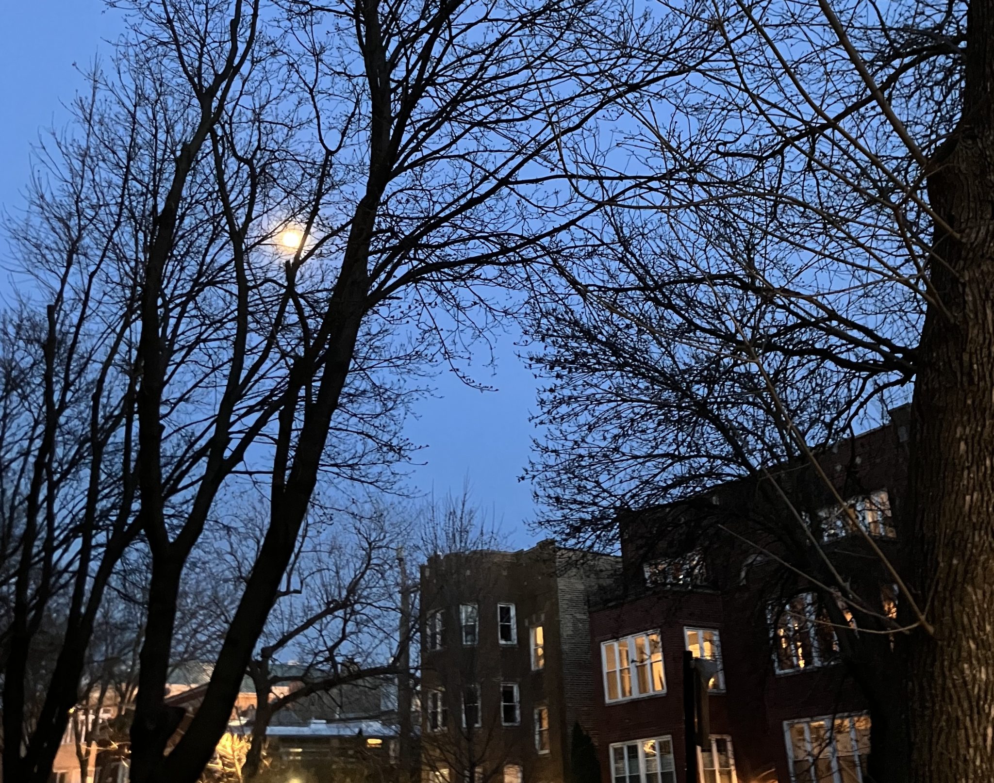 Today In Culture, Thursday, April 2, 2026: Krannert’s New Director | Crying Tiger’s New Neighbor | Booth Hansen’s UIC Building