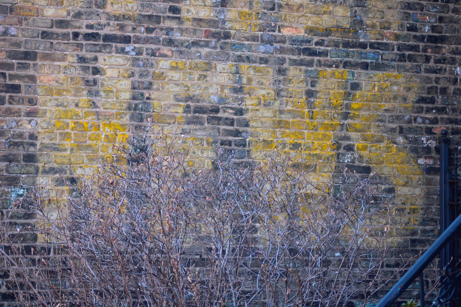 Today In Culture, Monday, April 6, 2026: Roger Brown Studio Nears Landmark Status | Joe Shanahan On Chicago’s Music Scene | Northwestern’s Audiophile Conference