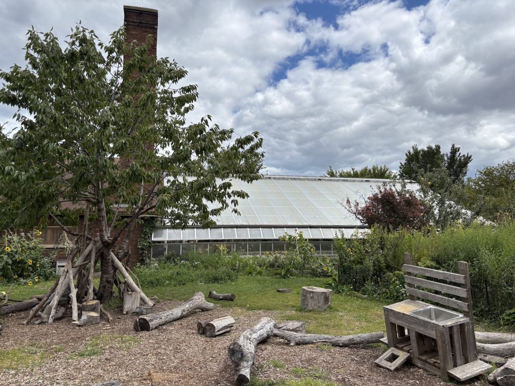 Image of conservatory with logs in front of it.